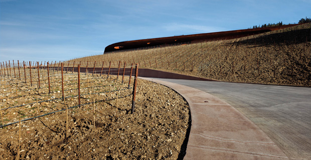 isplora-cantina-antinori-b