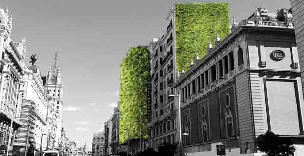 madrid-natural-verde-arup-c