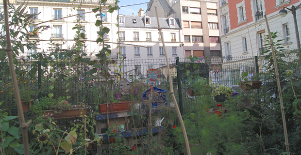 caption: Il giardino comune de la Goutte Verte - XVIII Arrondissement di Parigi. Foto di Isabelle Artus.