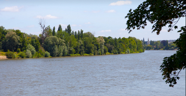 caption: La flora del parco e la Senna, foto di Laurent Schneiter.