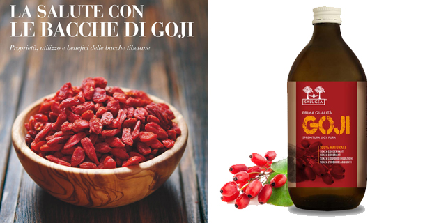 regali-natale-idee-alimentazione-goji