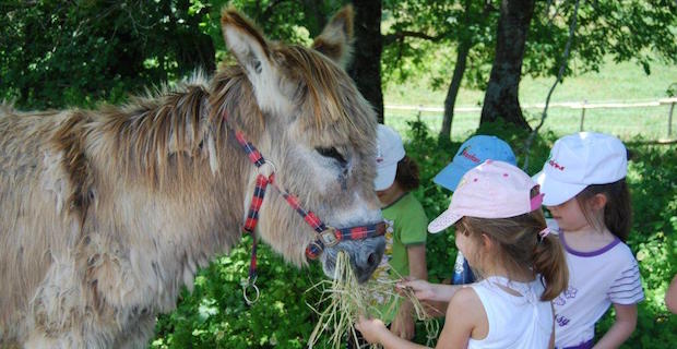 Slow Food e il suo "Orto in condotta"