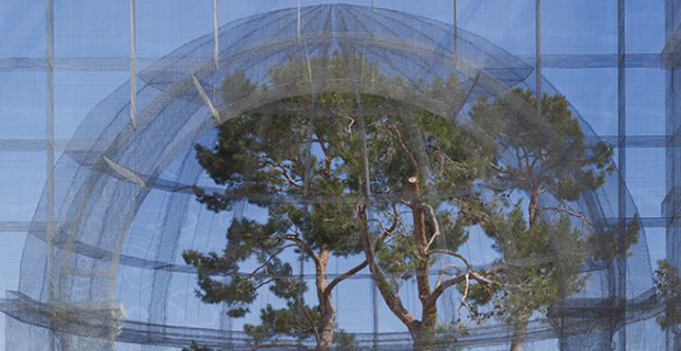 caption: © Edoardo Tresoldi