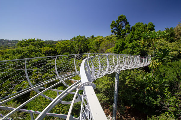 citta del capo passeggiata c