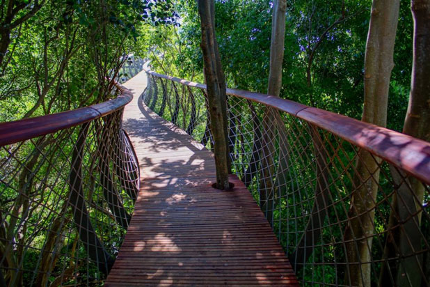 citta del capo passeggiata e