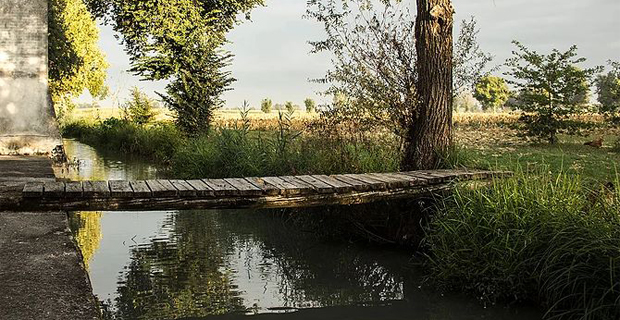 tenuta la mainolda f