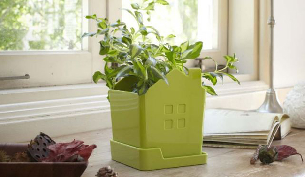 Gadget originali per dare un tocco green alla casa e all'ufficio