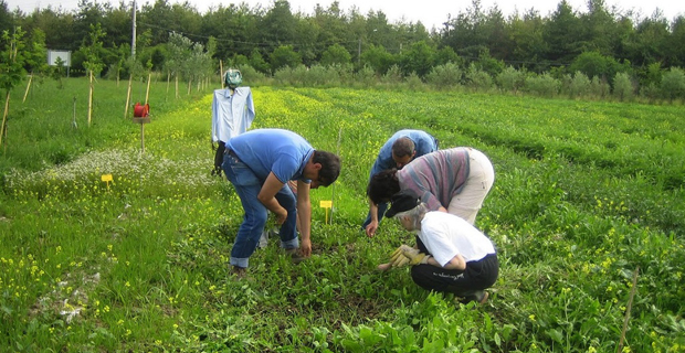 banaca terra abusivismo b