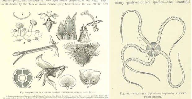 caption: Our Earth and its Story: a popular treatise on physical geography, pg. 29e  pg.136