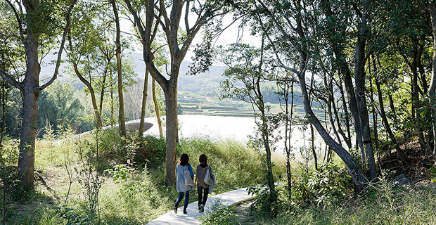 Il percorso esterno del Teshima Art Museum è celato nella vegetazione