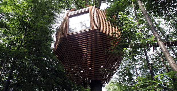 Origin tree house è la casa sull'albero con un rivestimento in listelli di legno