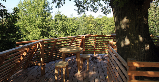 Il terrazzo della casa sull'albero Origin Tree House