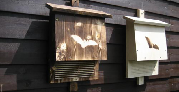 La casa per pipistrelli Bat-Box