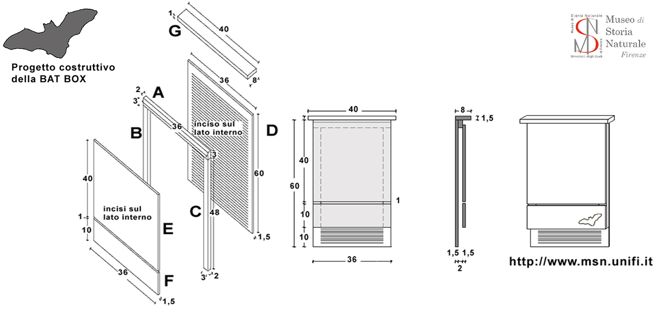 Bat box: lo schema per costruire una casa per pipistrelli