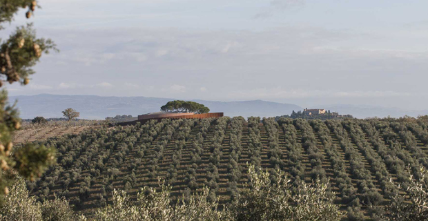  Il Forum di Collemassari, Edoardo Milesi/Archos.