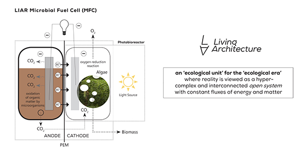  Diagramma che spiega il processo MFC Microbial Fuel Cell (Cella a combustibile microbico) attraverso il quale si produce energia elettrica a partire da materia organica.