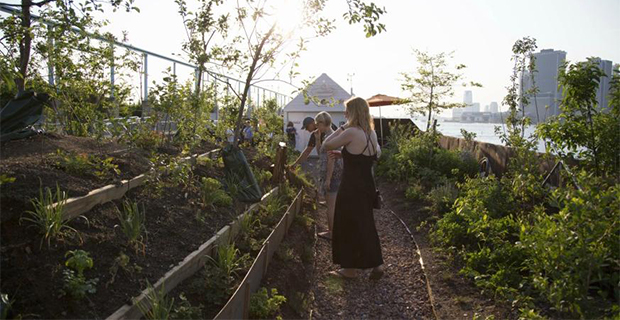 L'orto della foresta galleggiante Swale a New York