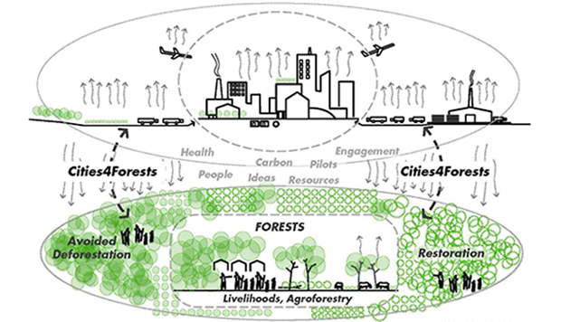 Gli obiettivi di Cities4forest.