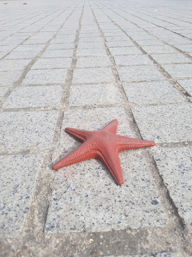 Una stella marina a Place Vendome