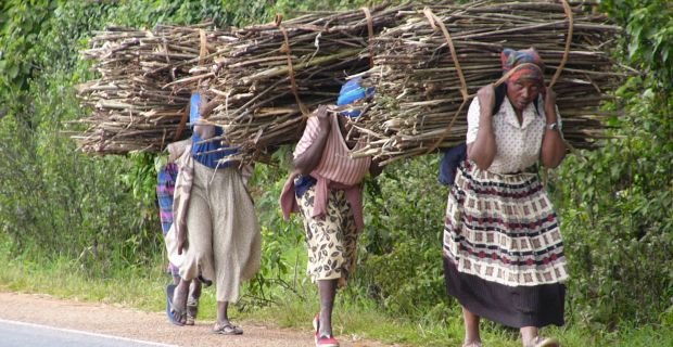 caption: L'esempio estremo di povertà energetica: il mancato accesso ad una tecnologia pulita costringe milioni di persone nei paesi in via di sviluppo, in particolare donne e bambine, al pesante lavoro di procurarsi legna per cucinare. Foto di TAPUWA MASAWI publicata in News from the South, riprodotta con permesso dell'Editore.