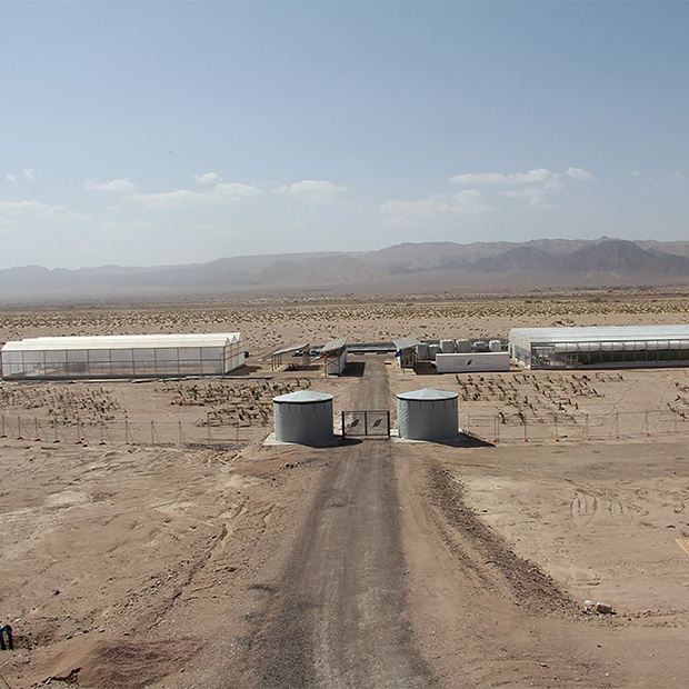 L'ingresso dell'impianto del Sahara Solar Project.