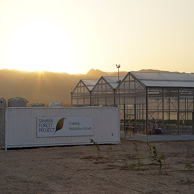 Una delle serre del Sahara Solar Project.