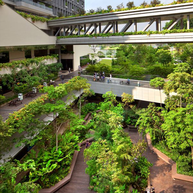 biophilic design ktph hospital