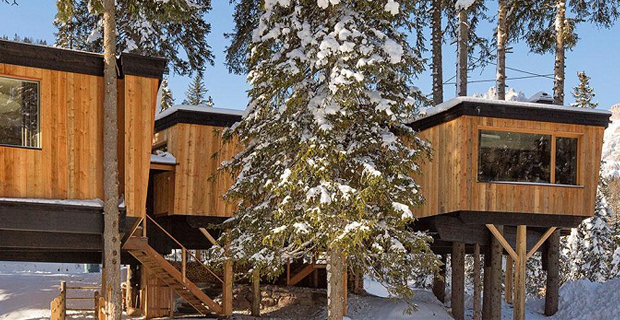  Il Glamping Caravan Park Sexten e le case sull'albero in Trentino.