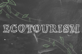 Ecoturismo: perchè scegliere il turismo lento