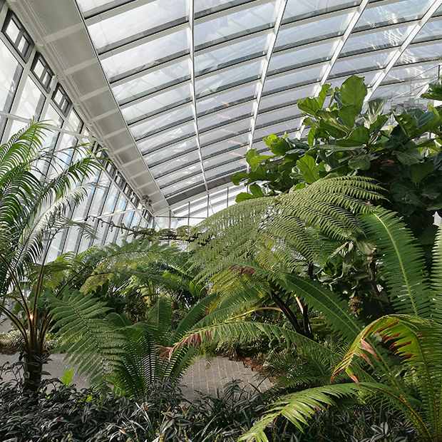 Il progetto del verde per lo Sky Garden di Londra.