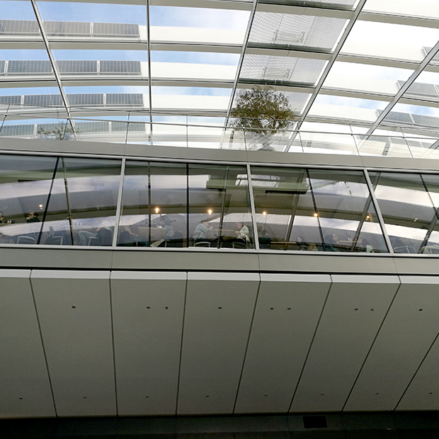 L'interno del tettogiardino dello Sky Garden di Londra.