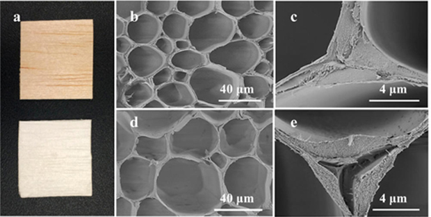 La ricerca sul legno trasparente del KTH di Stoccolma del 2016.