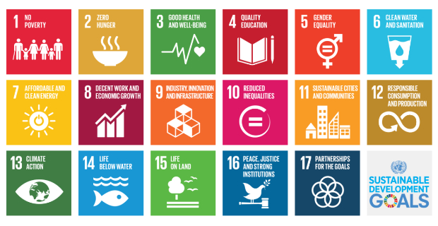 Obiettivi di sviluppo sostenibile: i 17 obiettivi dell'agenda 2030