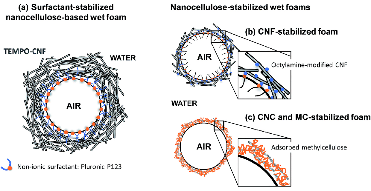  Struttura tipo di schiume a base di nanocellulosa bagnate stabilizzate da (a) un tensioattivo non ionico,  (b) parzialmente idrofobico CNF e (c) metilcellulosa e CNC (fonte : Royal Society of Chemistry).