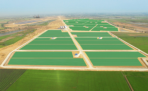 caption: Una possibile applicazione dei pannelli con Biosolar Leaves.