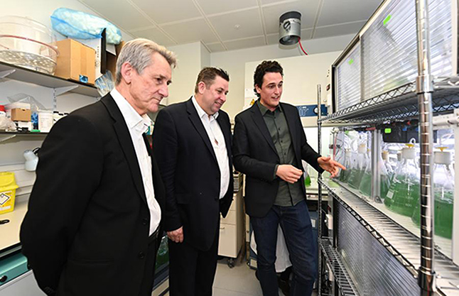 caption: Il professor Neil Alford Cllr Stephen Cowan e Julian Melchiorri parlano della nuova tecnologia delle BioSolar Leaves.