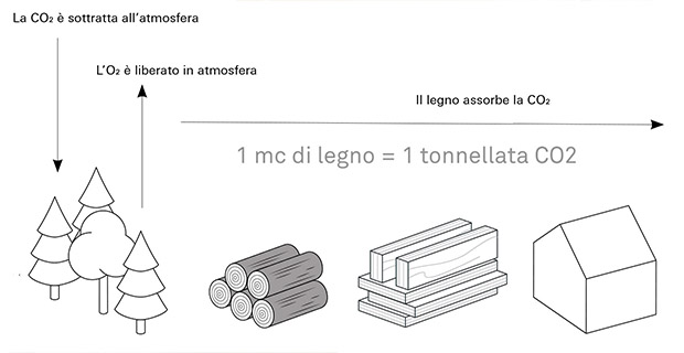 Il bilancio positivo del legno.