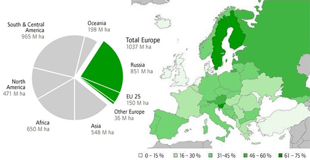 La risorsa legno nelle foreste di Europa e mondo.