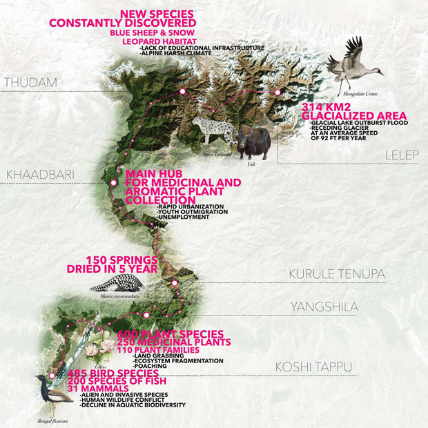 schema universita verticale nepal