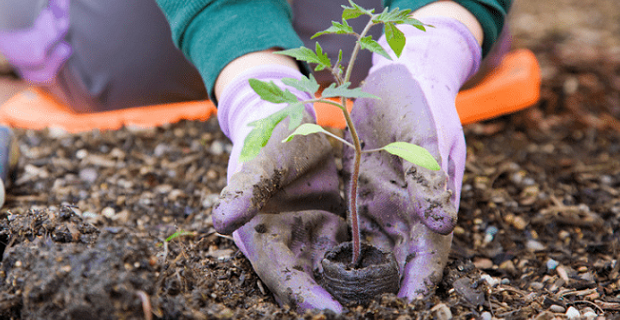 Abbigliamento per il giardinaggio