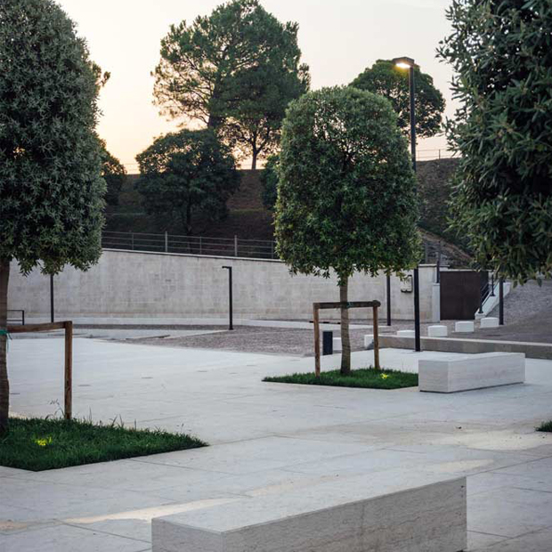 alberi piazza urbana