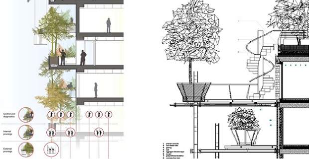 La sezione del Bosco Verticale di Torino a confronto con quella di Milano