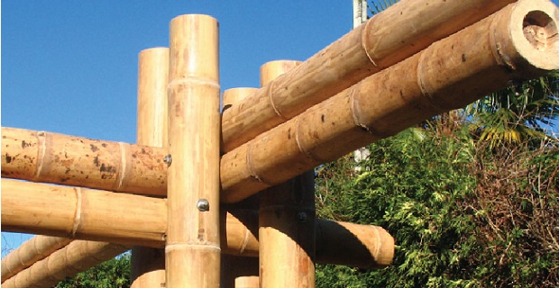 Motivi della resistenza del bambu
