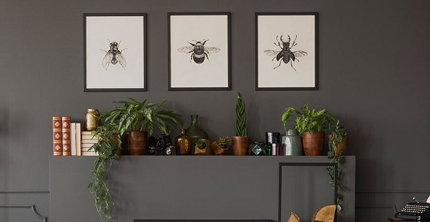 poster decorare muri