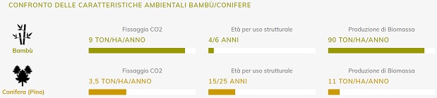 confronto caratteristiche ambientali bambu conifere