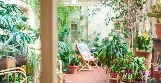 Decorare il balcone in modo ecosostenibile