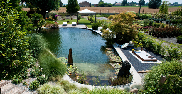 biolago filtro naturale piante