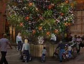 Albero-alimentato-biciclette-Bologna