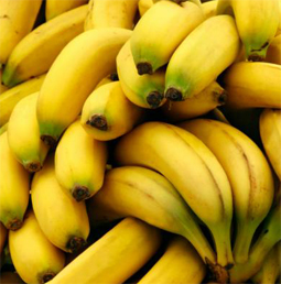Plastica-banane-1