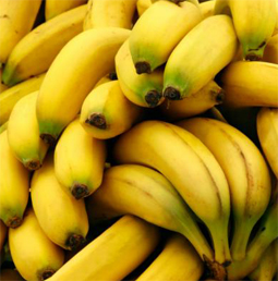 Plastica-banane-1